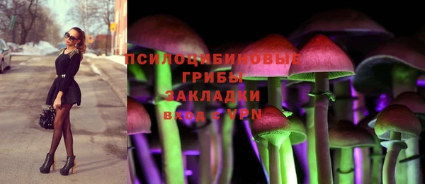 герыч Заволжск