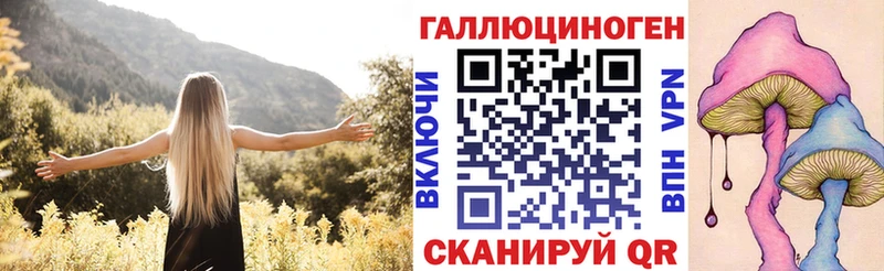 Купить закладки  Воронеж  Псилоцибиновые грибы MAGIC MUSHROOMS 